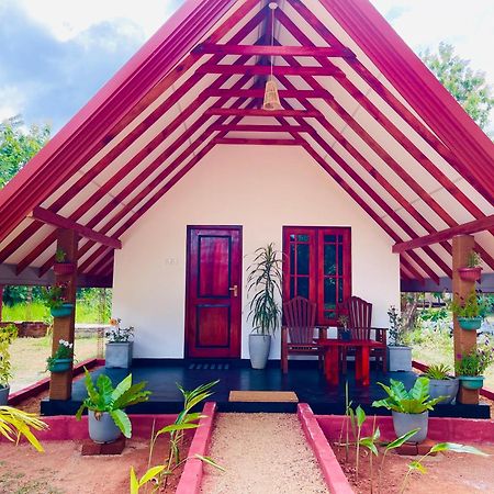Sigiri Enaya Cottage Sigiriya Eksteriør billede