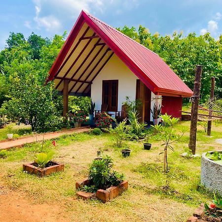 Sigiri Enaya Cottage Sigiriya Eksteriør billede