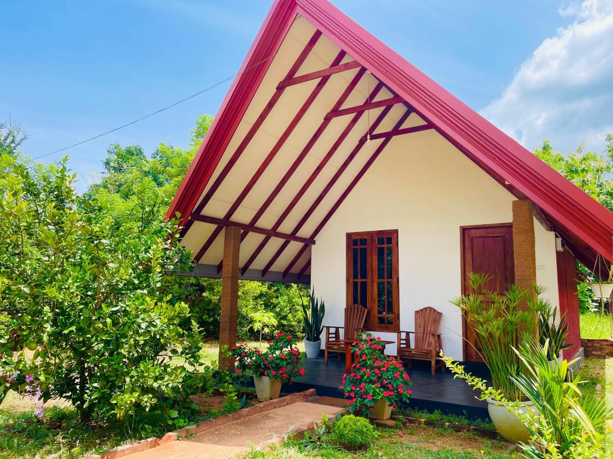 Sigiri Enaya Cottage Sigiriya Eksteriør billede