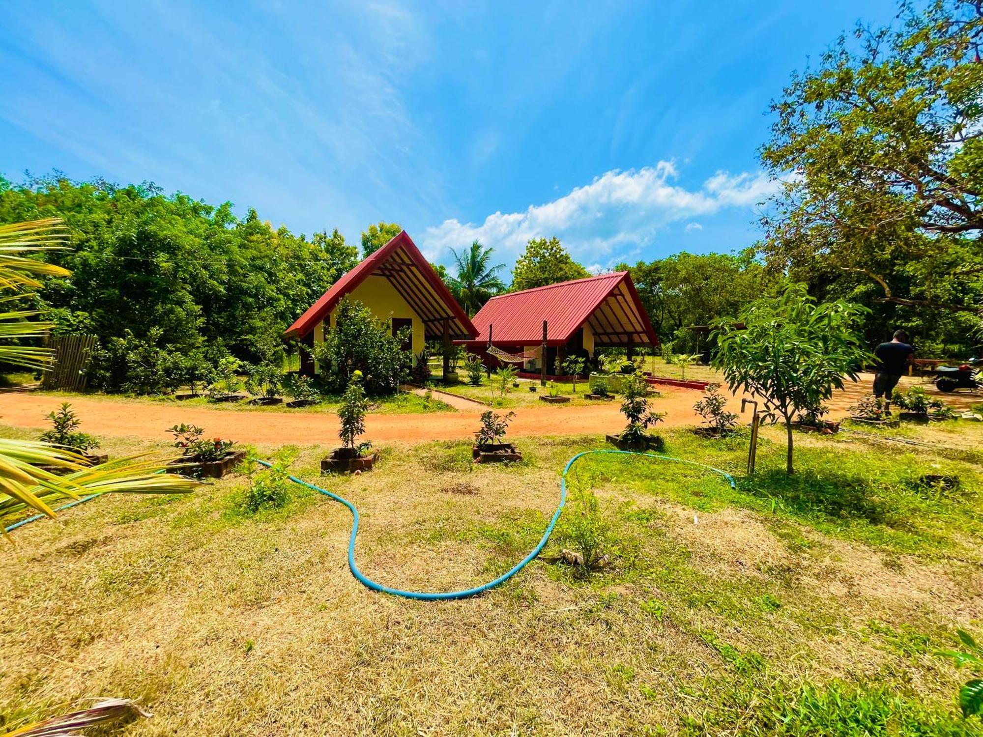 Sigiri Enaya Cottage Sigiriya Eksteriør billede